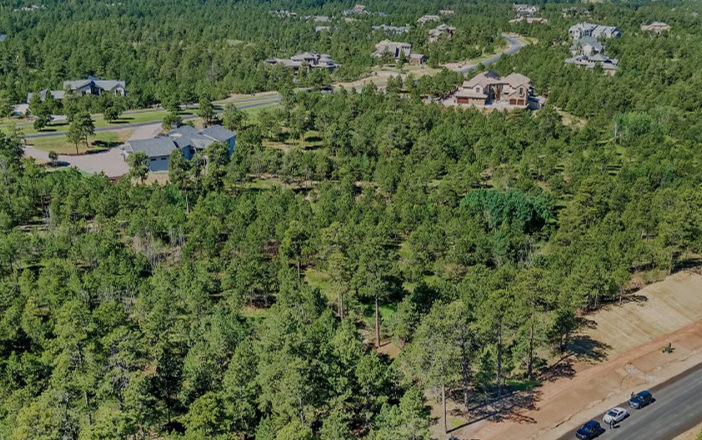 Flying Horse North (Black Forest)