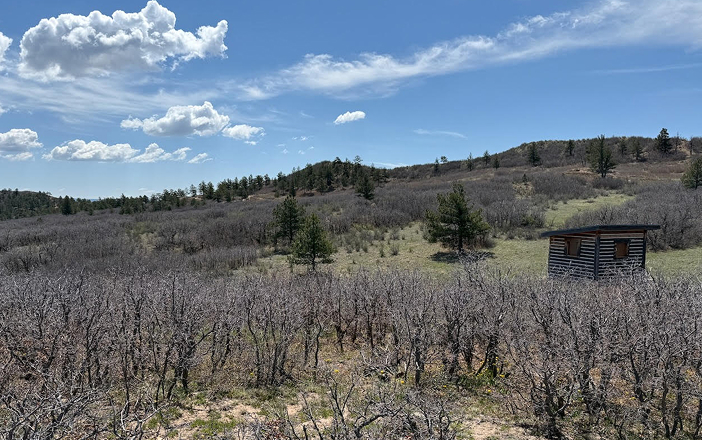 Hay Creek Preserve (Air Force Academy North Border)